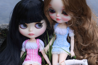 Secret Dollhouse